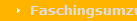 Faschingsumzug 2012